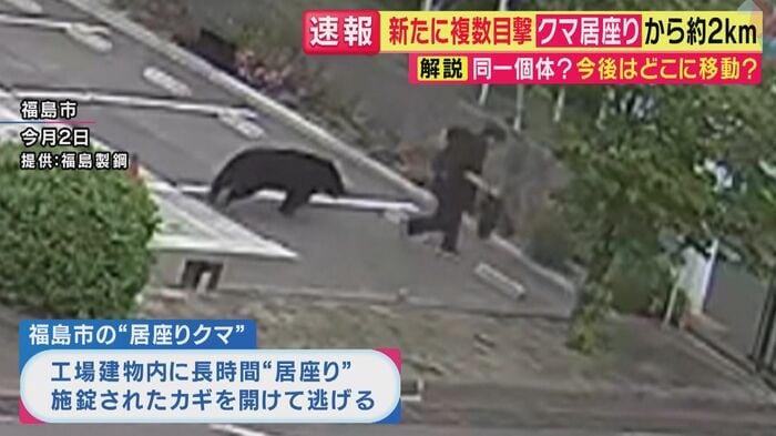 クマは人に接触する前からすでに疾走状態