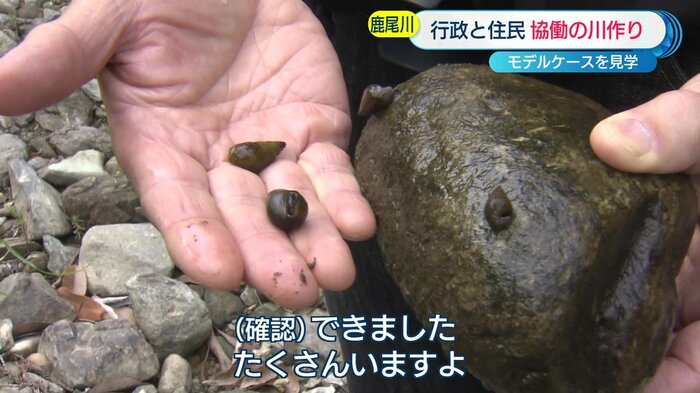 カワニナが確認できた