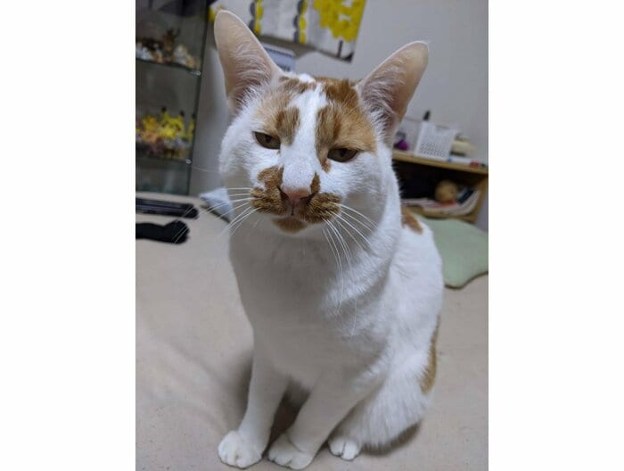 提供:tknさん