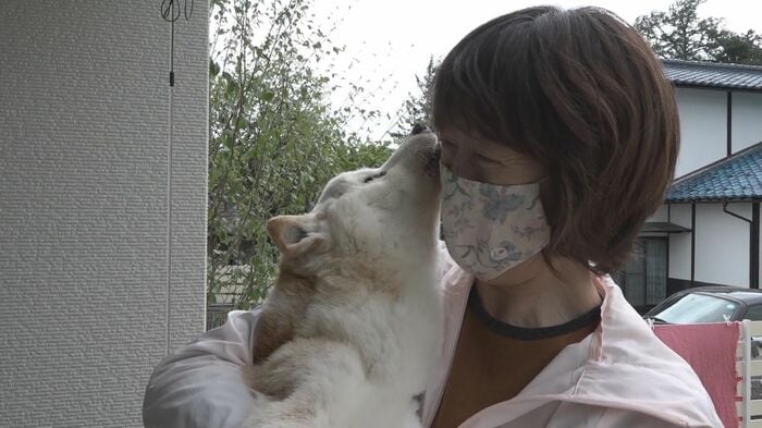 愛犬をホームに預ける佐藤江利子さん
