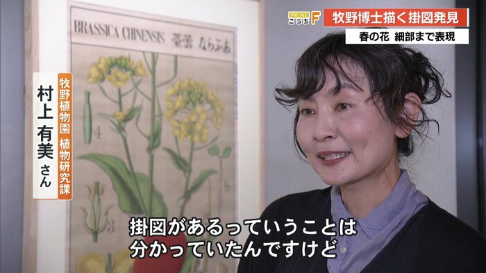 県立牧野植物園 植物研究課 村上有美さん