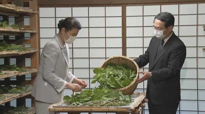 皇居でご養蚕に臨まれる雅子さま