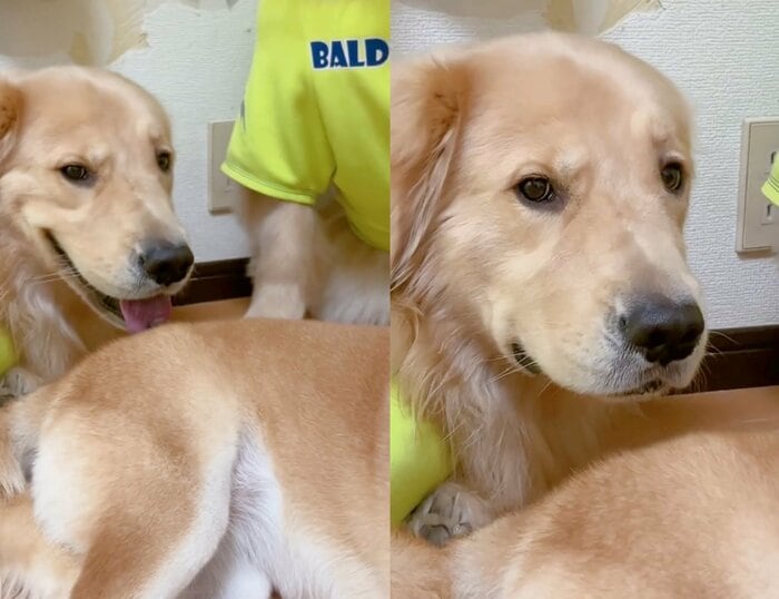 ニコッとしていたが急に真顔に…(提供:ムックパパさん)