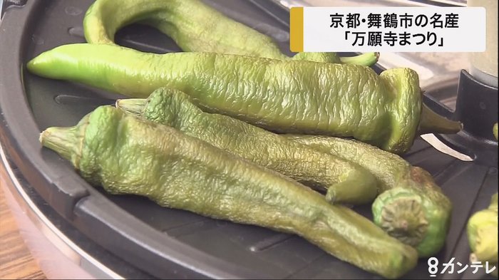 辛くない唐辛子「万願寺甘とう」のお祭り