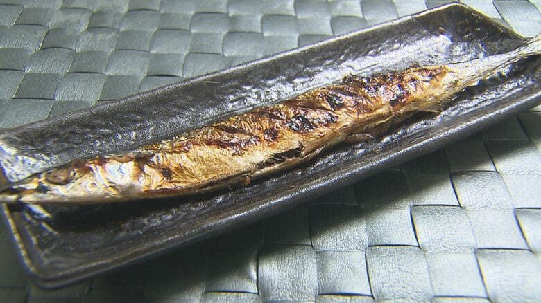 【秋の味覚】サンマが豊漁！価格も手頃に 見つけたら要注意「アニサキス」と謎の「赤い糸」しっかり加熱して食べて｜FNNプライムオンライン