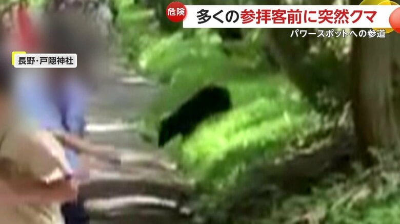 「怖い怖い！」2頭のクマが全国屈指の“パワースポット”戸隠神社に…参拝客前に突然出没で現場騒然　長野市｜FNNプライムオンライン