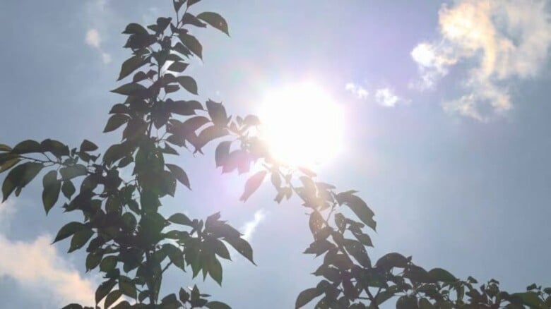 北陸地方が梅雨明け　平年より5日、昨年より13日早く　新潟地方気象台が発表｜FNNプライムオンライン