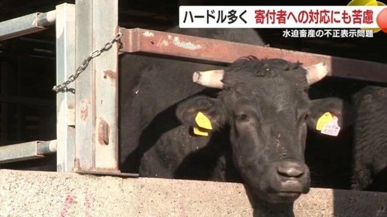 鹿児島産と偽装、返礼6500件・寄付8000万円分に波及　ふるさと納税の信頼はどうなるのか｜FNNプライムオンライン