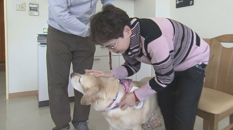 10歳を目安に引退…視覚障害者を家族として支えてきた「盲導犬」 女性が迎えた“最後にハーネスを外す時”【三重発】｜FNNプライムオンライン