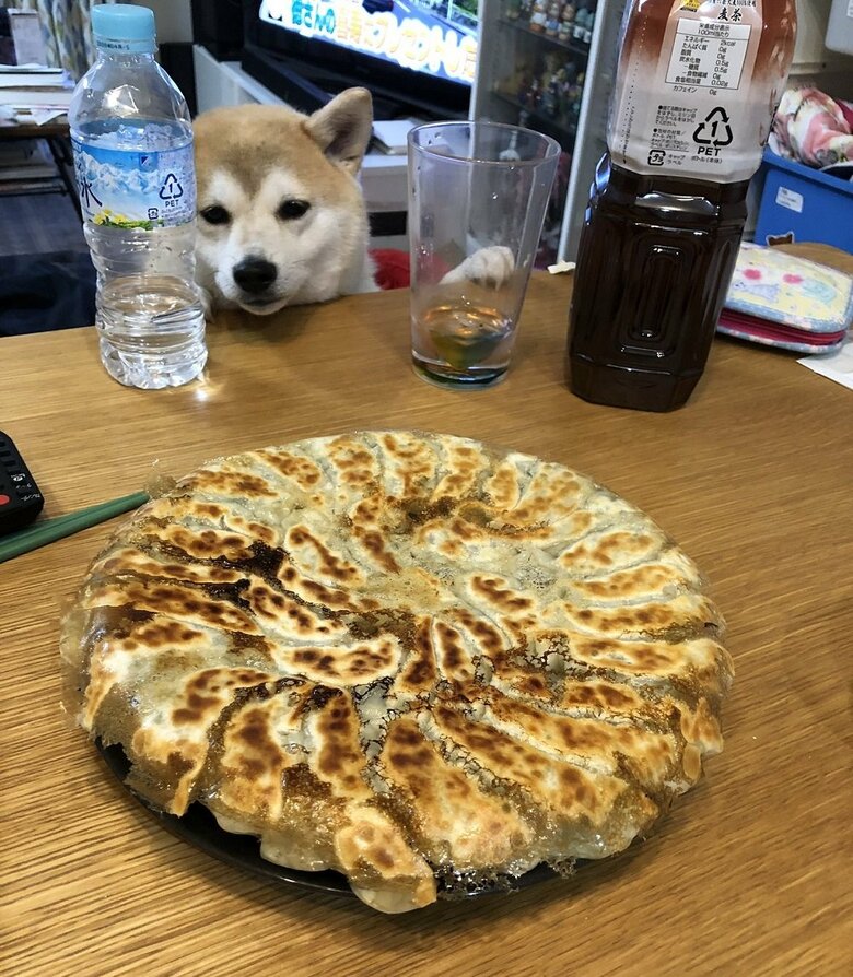 家族が食べるご飯が気になる(投稿画像の撮影日とは別日)