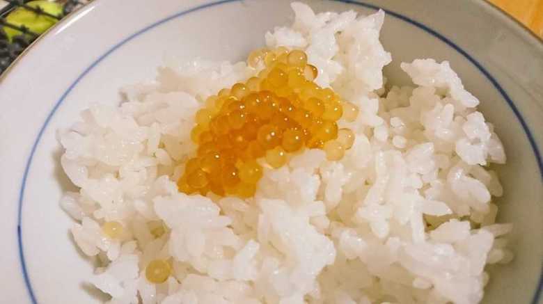これは完全にいくらだ