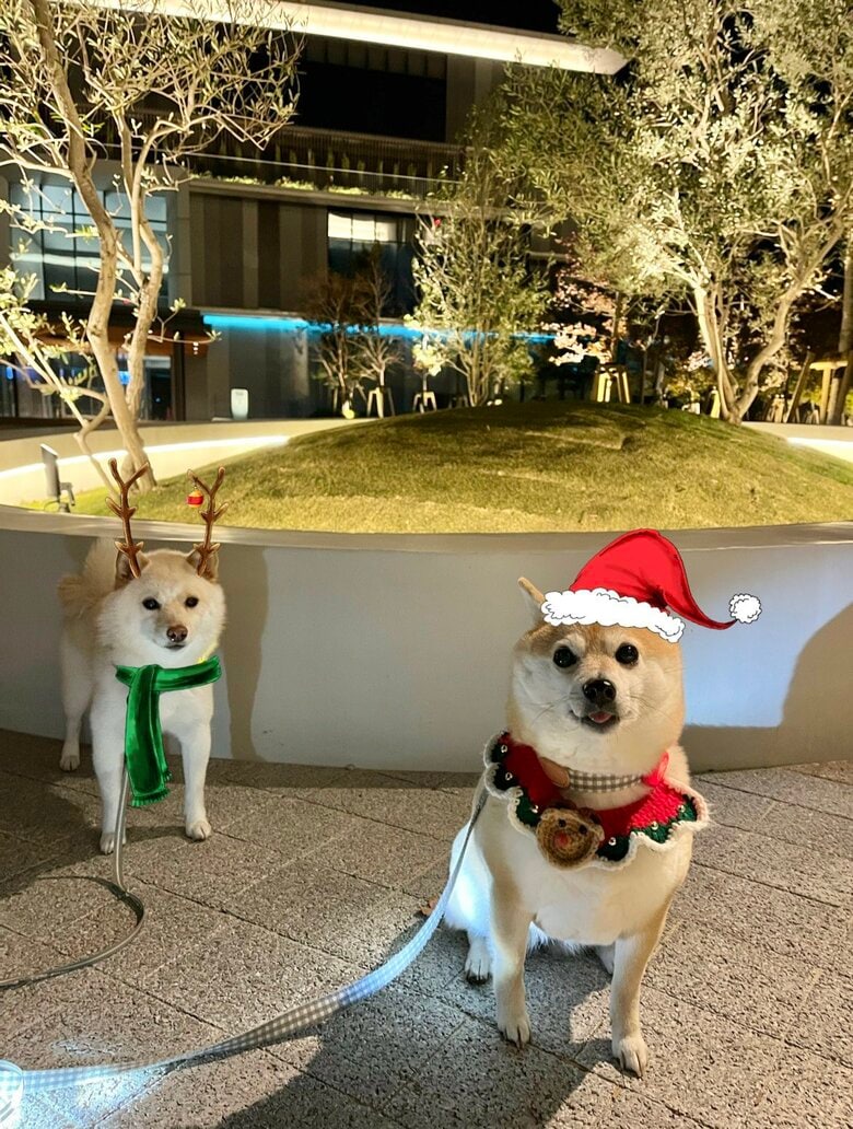 クリスマス仕様