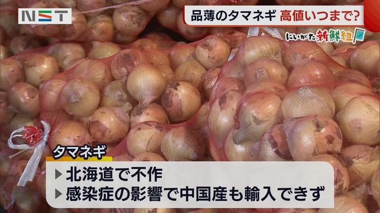 タマネギ価格高騰の原因は