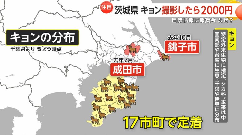 千葉県のキョンの分布
