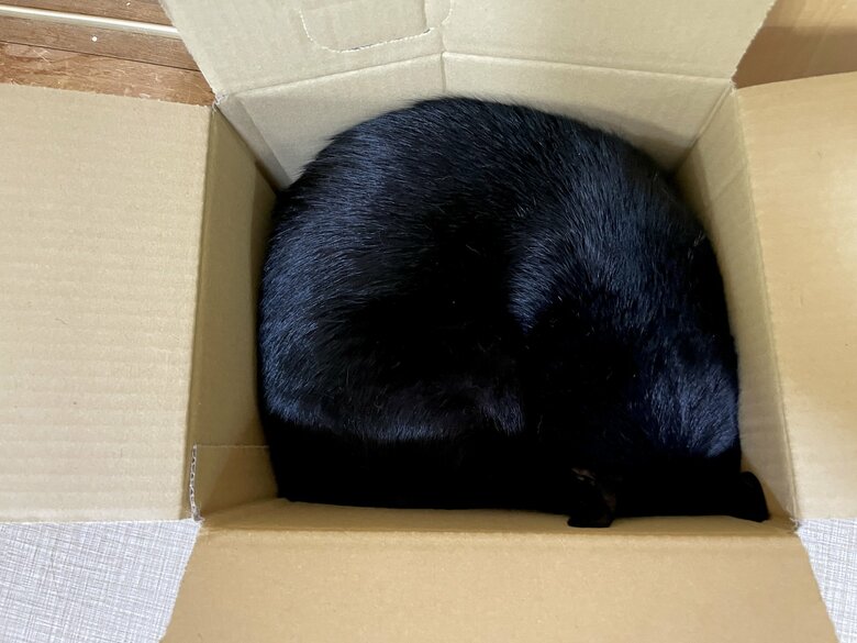 提供：マクーさん