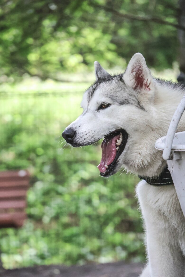 提供：スカイさん
