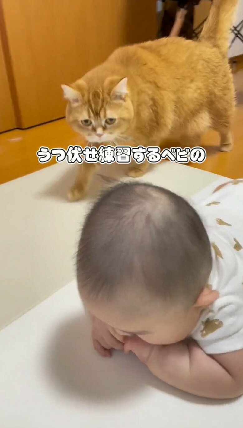 うつ伏せ練習中の息子さん