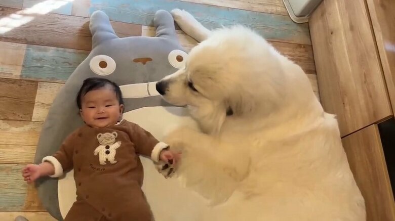 一緒に寝れてどちらも嬉しそう