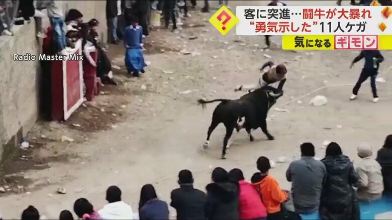 一騎打ちを挑んだ男性が、牛に突進される瞬間⑤