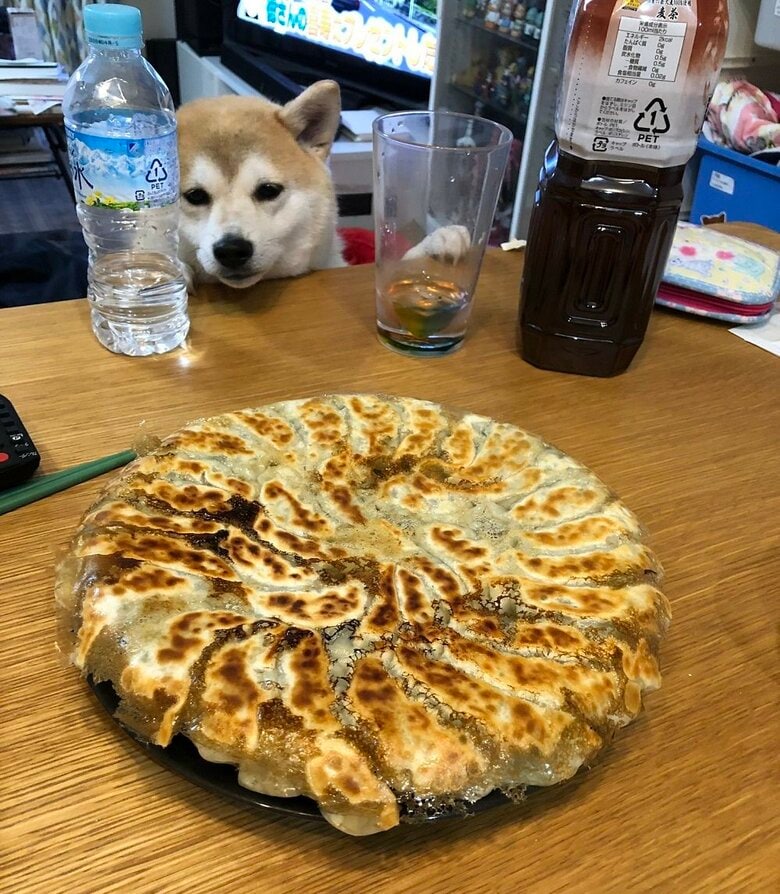 家族が食べるご飯が気になる（投稿画像の撮影日とは別日）