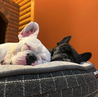 提供：天使の笑顔さん