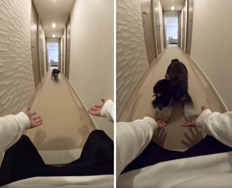 シューッと滑ってくるテオくん