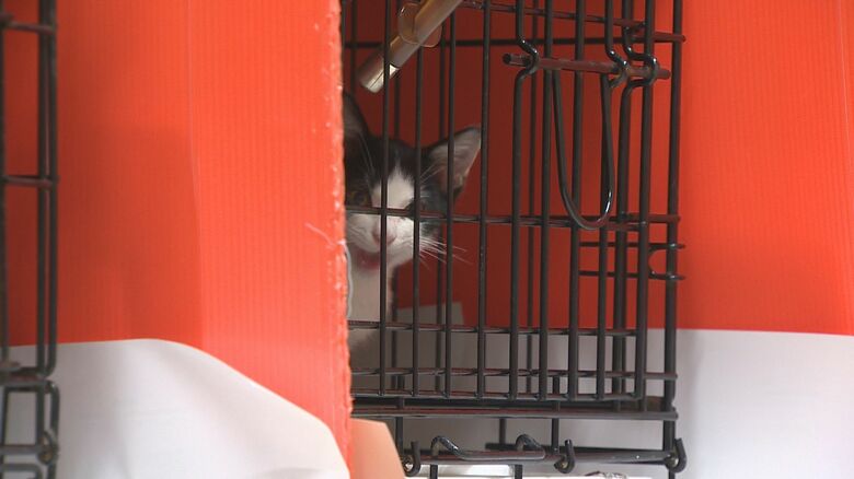 動物愛護センター