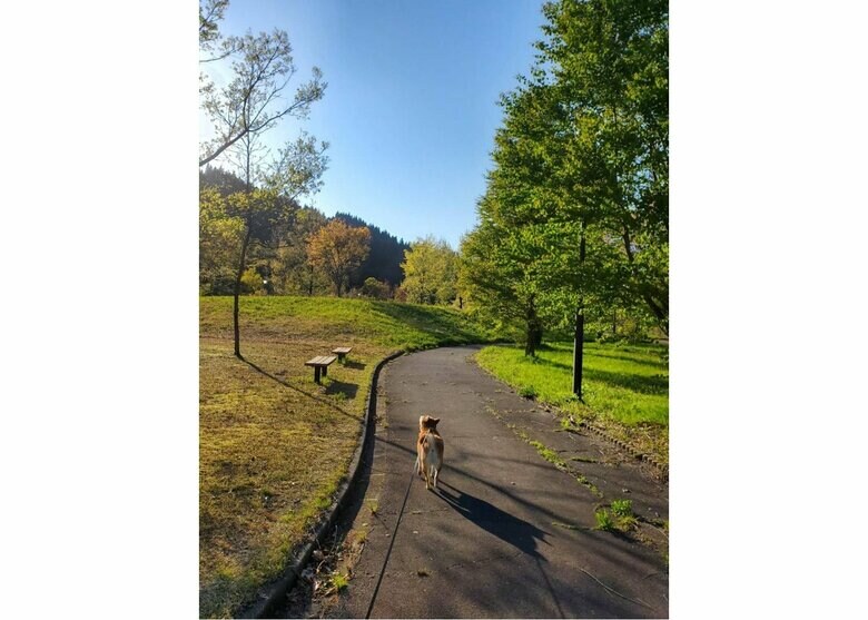 提供：あおとはなさん