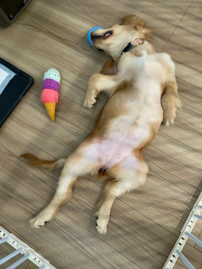 提供：関口和也さん