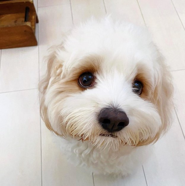 提供：宮原幸恵さん