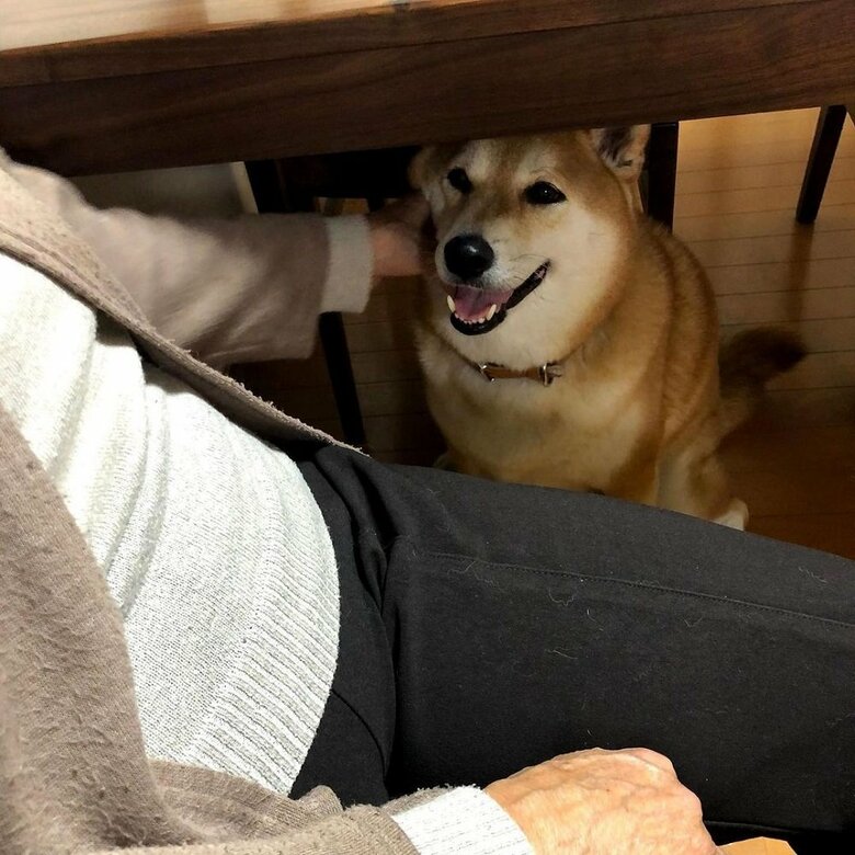 絶妙な位置でおばあちゃんになでられていると思ったら…