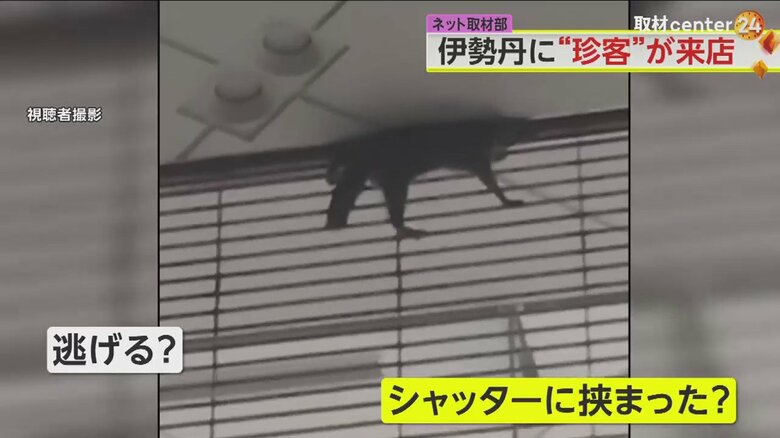 JR立川駅前の店舗に現れた“珍客”（10月3日午後9時半すぎ 視聴者撮影）