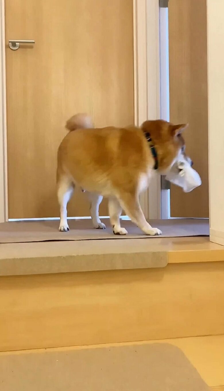 そして、再び部屋の奥へと去って行く