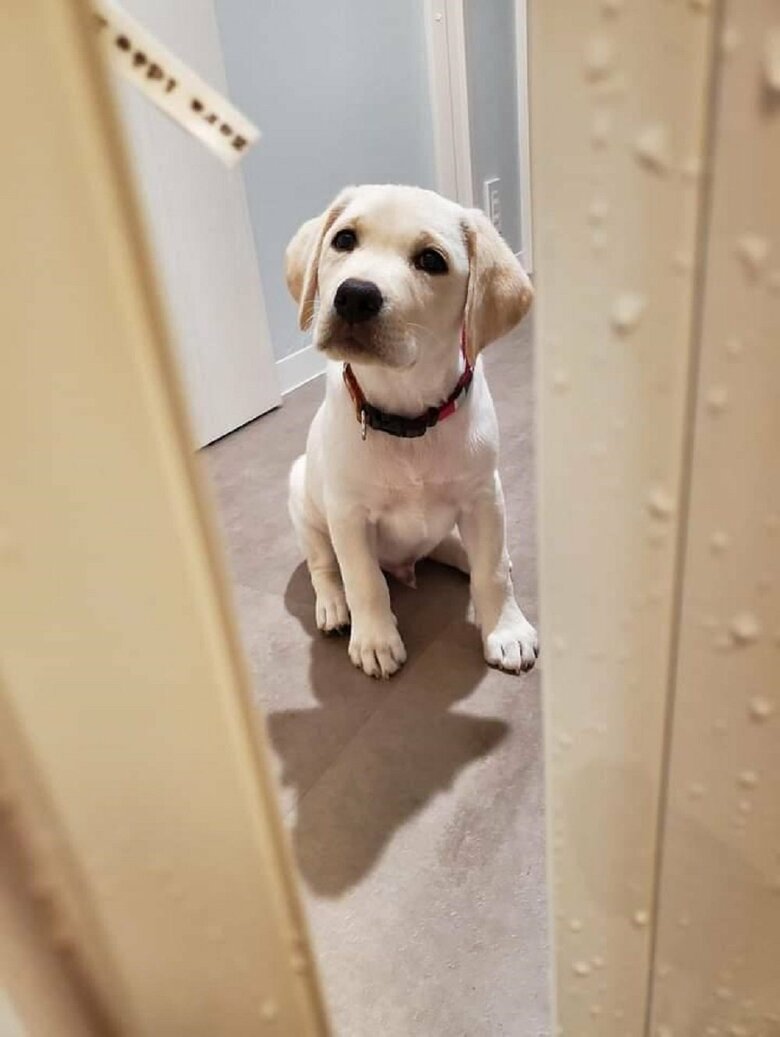 最初は「え〜！ぽのがいる！！」と驚いたという