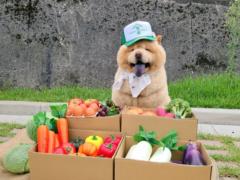 お店屋さんごっこ