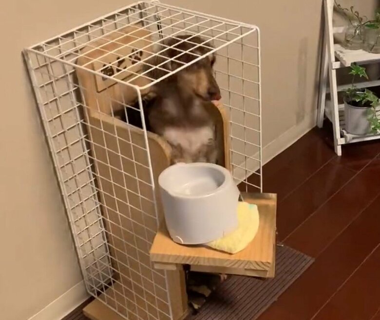 内側にすっぽりと収まった