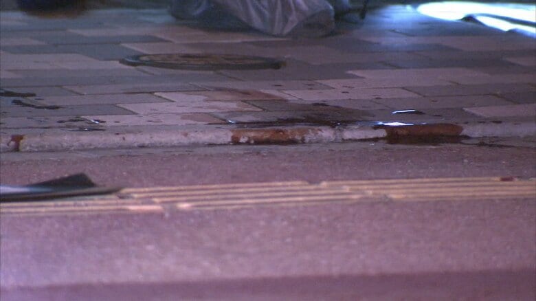 看護師刺傷事件 2013年1月