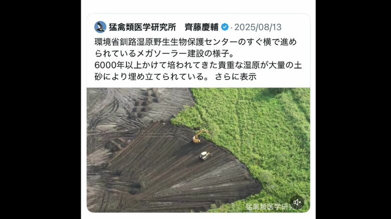 きっかけは猛禽類医学研究所の齊藤慶輔代表によるSNSの投稿