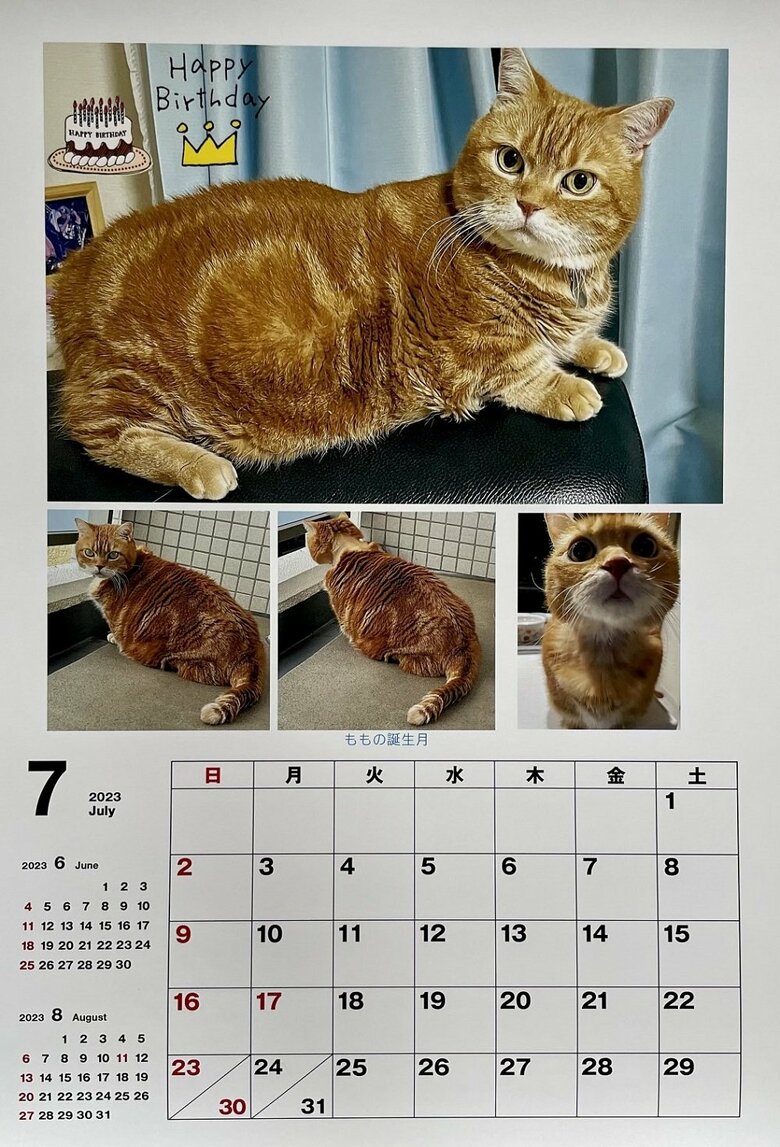 2023年7月のカレンダー　ももくんの誕生日月