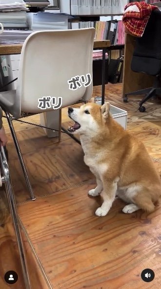 提供：エイトデザイン