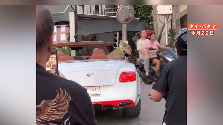 パタヤの街を走る高級オープンカー