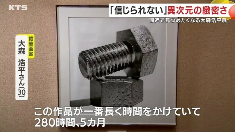 SNSで30万もの「いいね」を獲得した作品