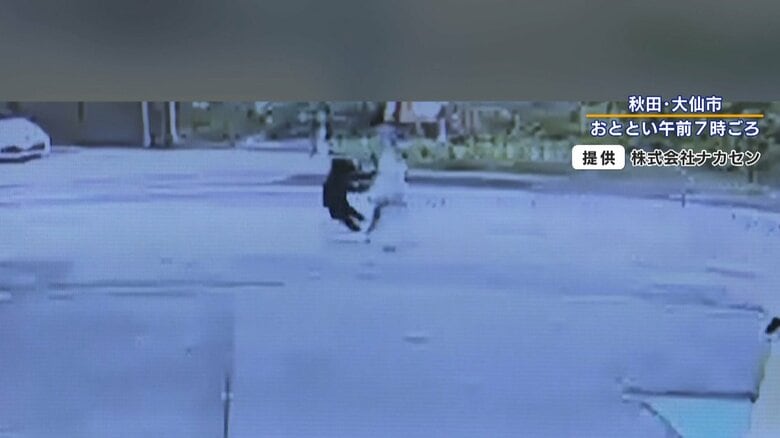 女性の正面に回り、飛びかかるクマ