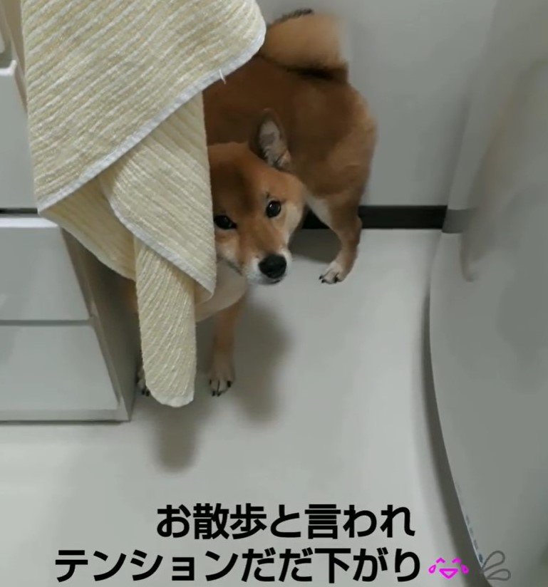 テンションがだだ下がり