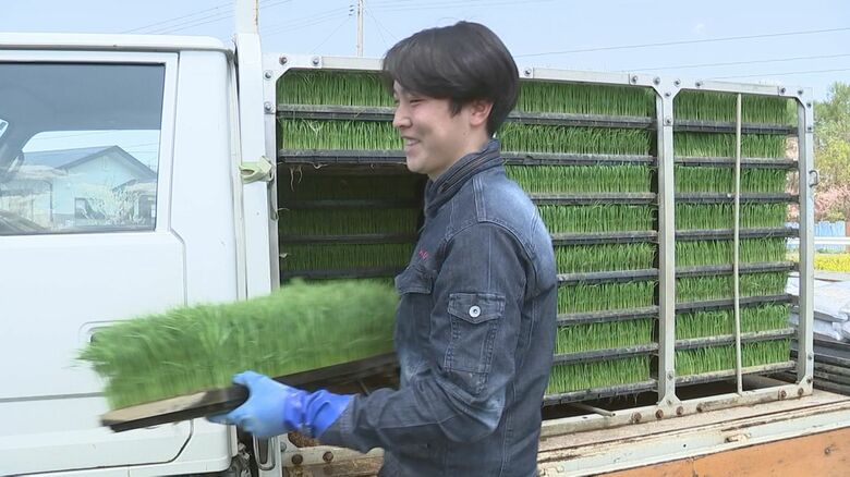 高校を卒業し本格的にコメ作りを始めた長男の恒河さん