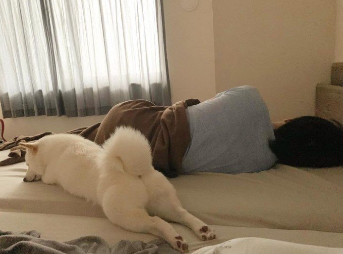 提供：ラッキーさん