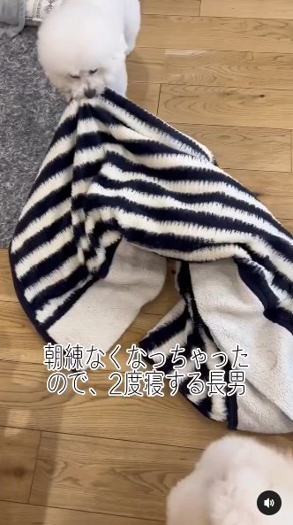 提供：エマ emmaさん