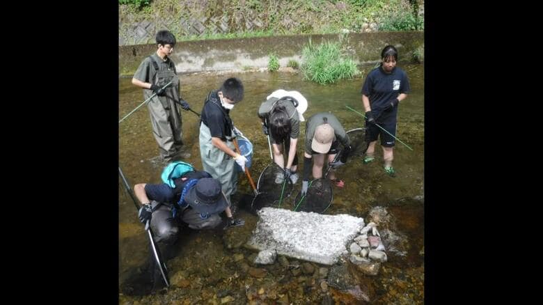 オオサンショウウオ班による菅田川での生態調査（岐阜・下呂市）