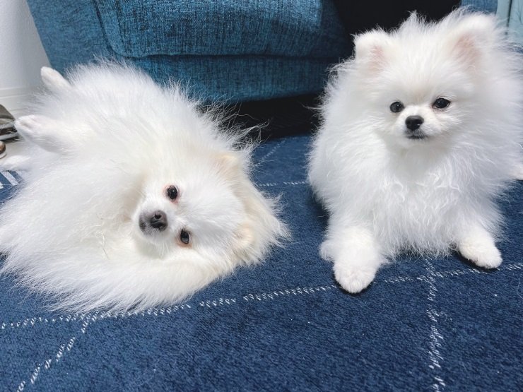 たまにはゴロゴロしてリラックス