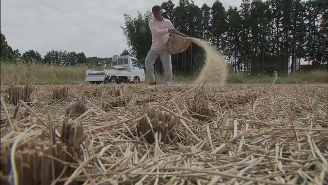 コメは廃棄　それでも「満足だった」
